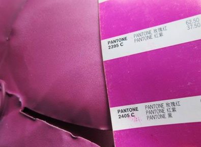 Color Pantone Check